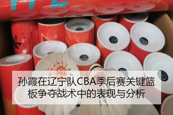 孙霞在辽宁队CBA季后赛关键篮板争夺战术中的表现与分析（global sports）